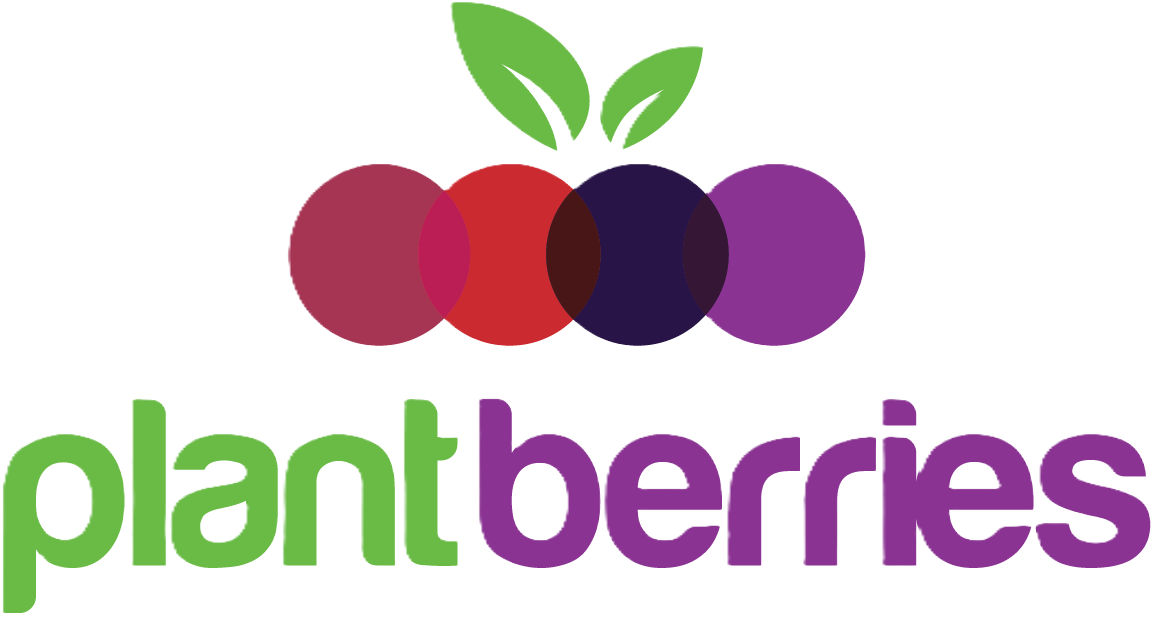 PlantBerries